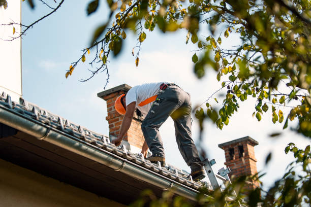 Quick and Trustworthy Emergency Roof Repair Services in Berkeley, CA